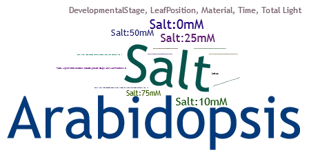 metabolite profile search result word cloud