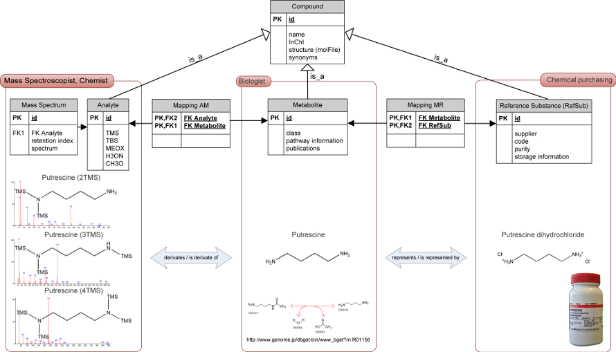 partial GMD schema